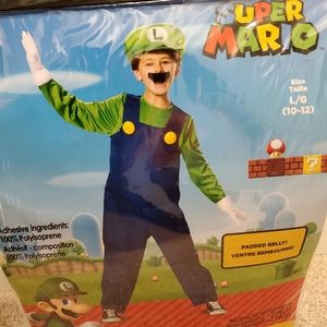 10-12 Luigi Costume